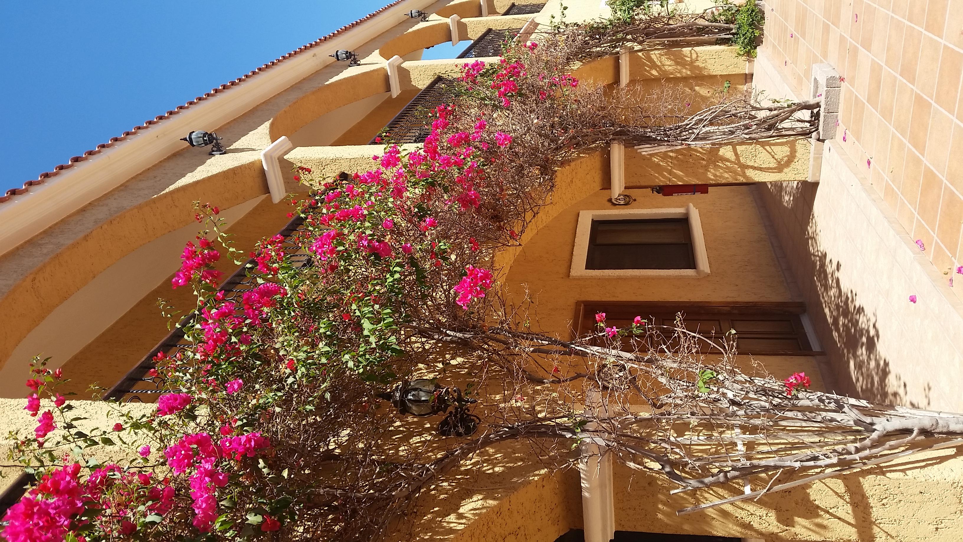 Hacienda Suites Loreto Loreto  Esterno foto